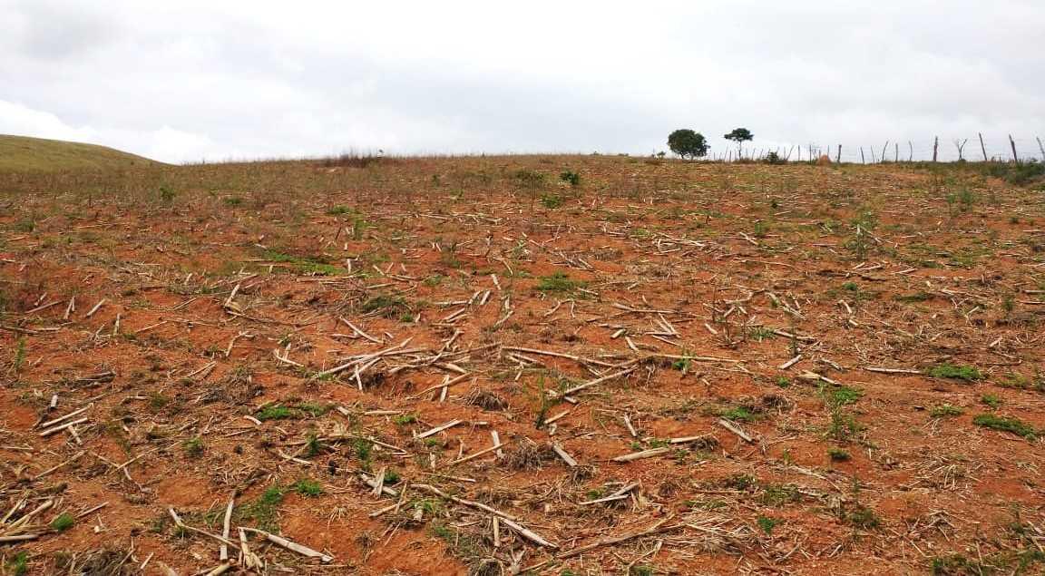 Fazenda, Zona Rural, 3 Quartos, 0 Vaga
