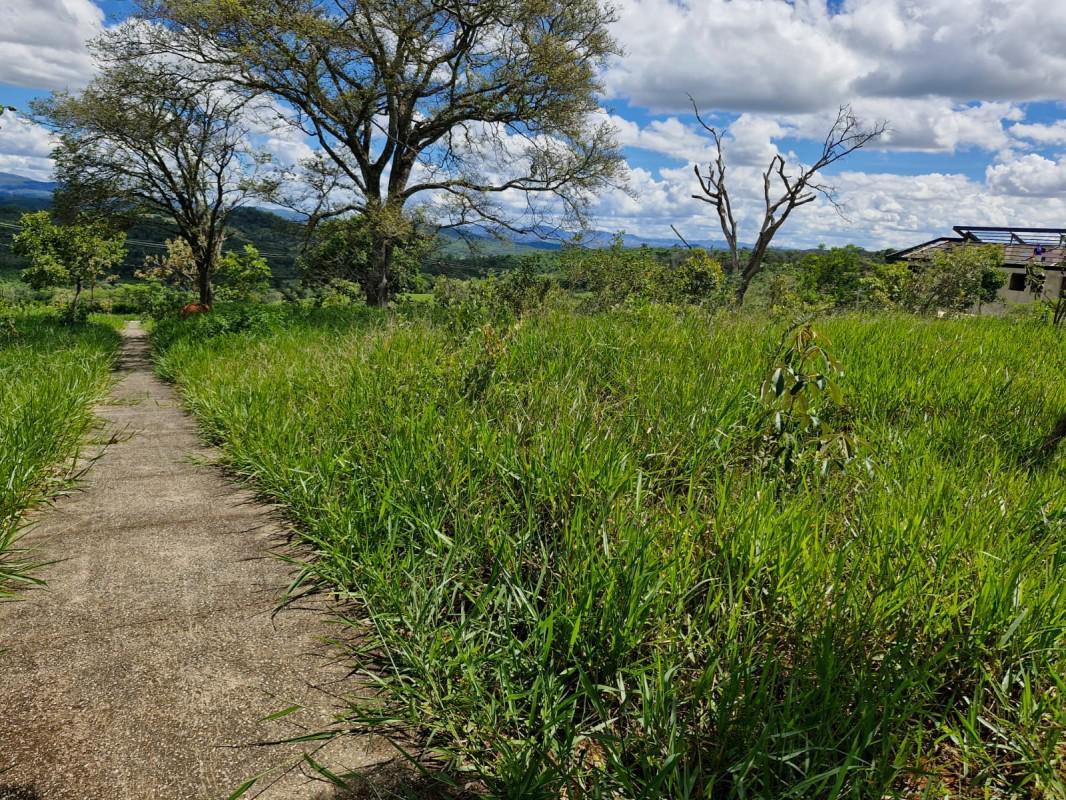 Lote, Lagoinha de Fora, 0 Quarto, 0 Vaga