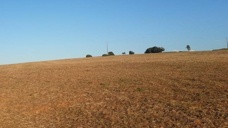 Fazenda, Zona Rural, 3 Quartos, 1 Vaga, 1 Suíte