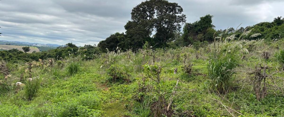 Fazenda, Zona Rural, 0 Quarto, 0 Vaga