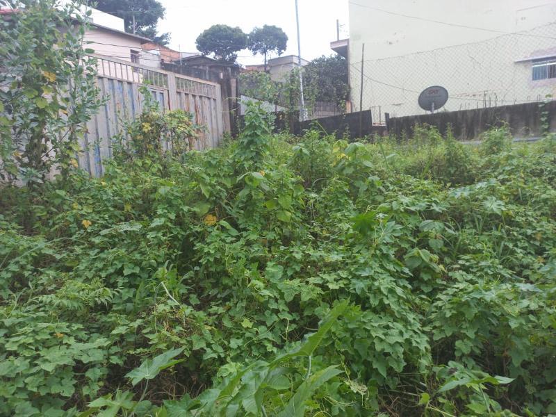 Lote, São Bernardo, 0 Quarto, 13 Vagas