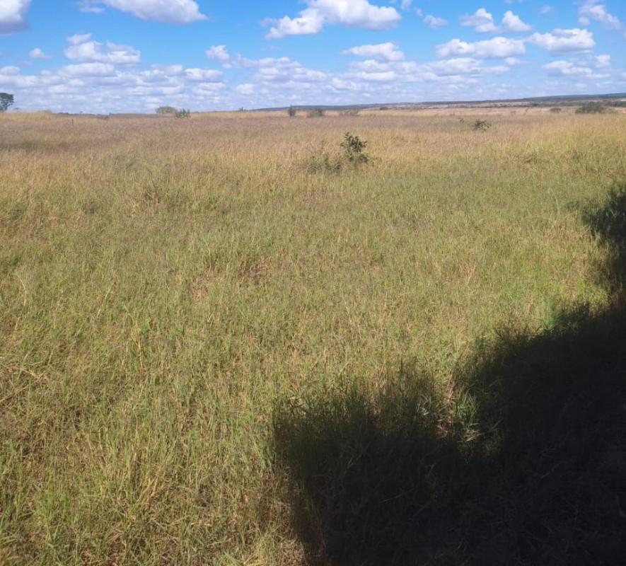 Fazenda, Zona Rural, 0 Quarto, 0 Vaga