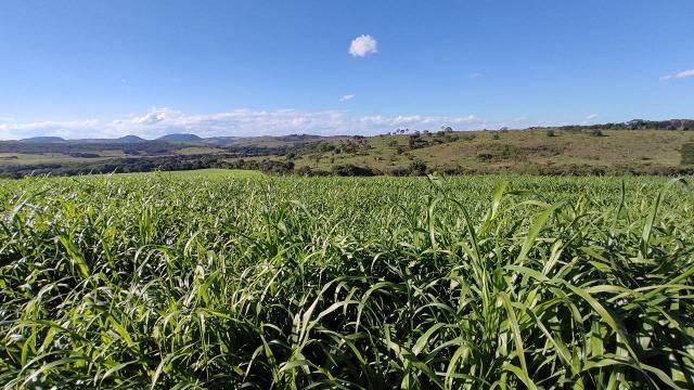 Fazenda, Centro, 5 Quartos, 2 Vagas
