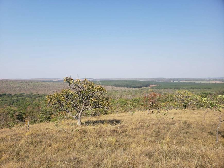 Fazenda, Centro, 0 Quarto, 0 Vaga