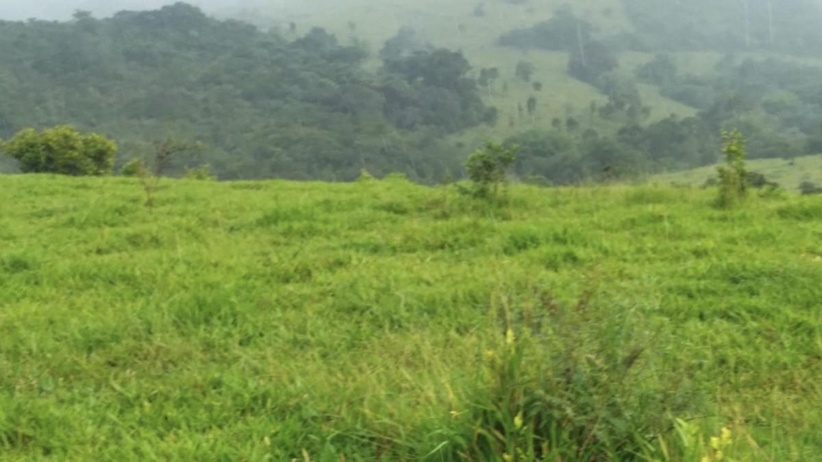 Fazenda, Zona Rural, 0 Quarto, 0 Vaga