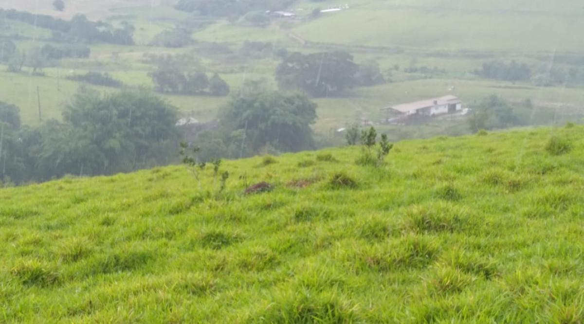 Fazenda, Zona Rural, 0 Quarto, 0 Vaga