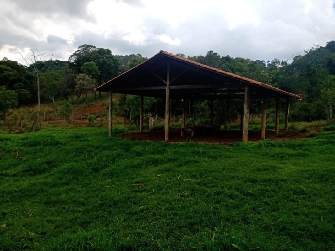 Fazenda, Centro, 0 Quarto, 0 Vaga