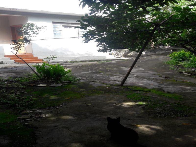 Casa, Sagrada Família, 3 Quartos, 6 Vagas