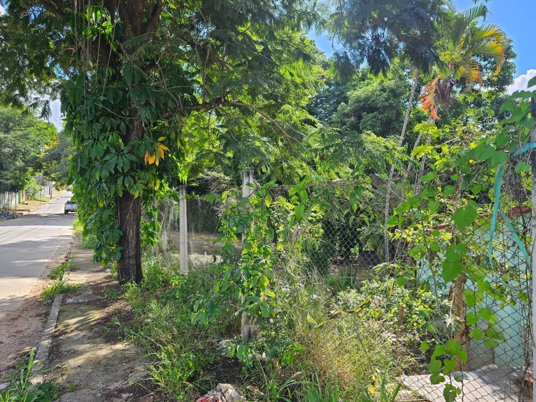 Fazenda, Chácara Cotia, 3 Quartos, 20 Vagas