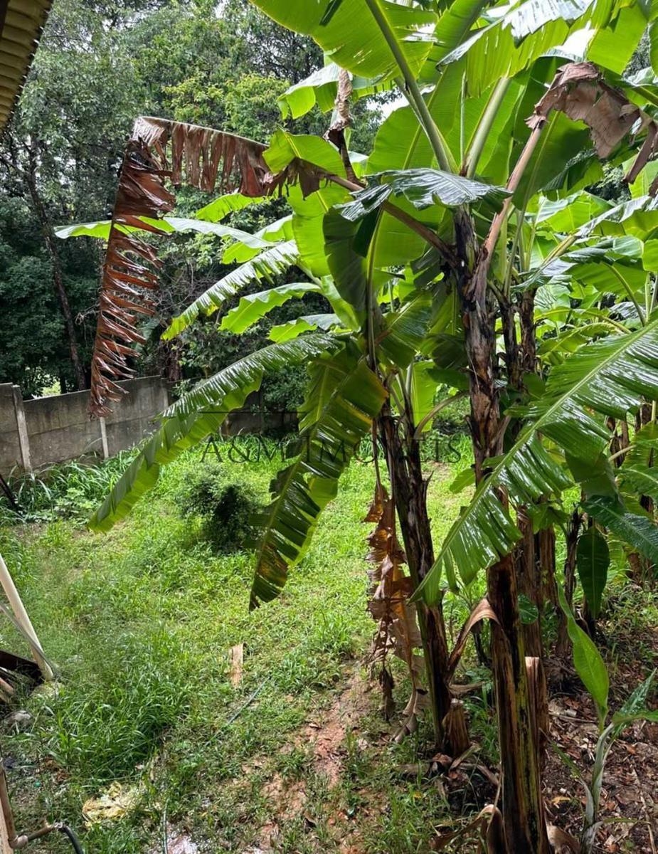 Casa, Chácara Cotia, 4 Quartos, 10 Vagas, 1 Suíte