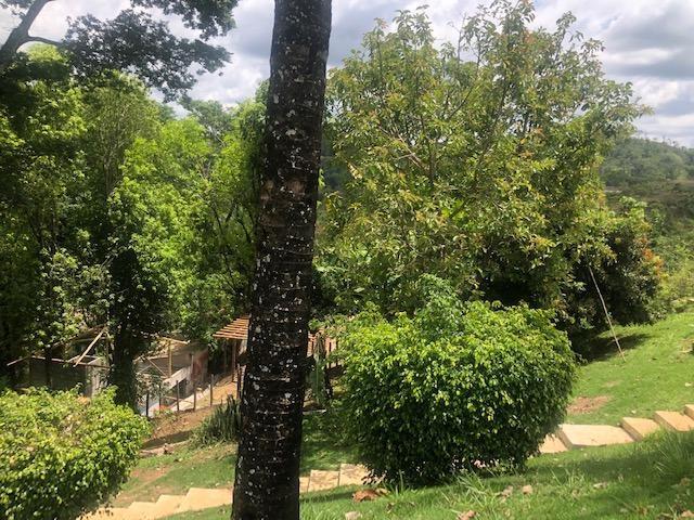 Fazenda, Condomínio Solar das Palmeiras, 1 Quarto, 10 Vagas, 1 Suíte