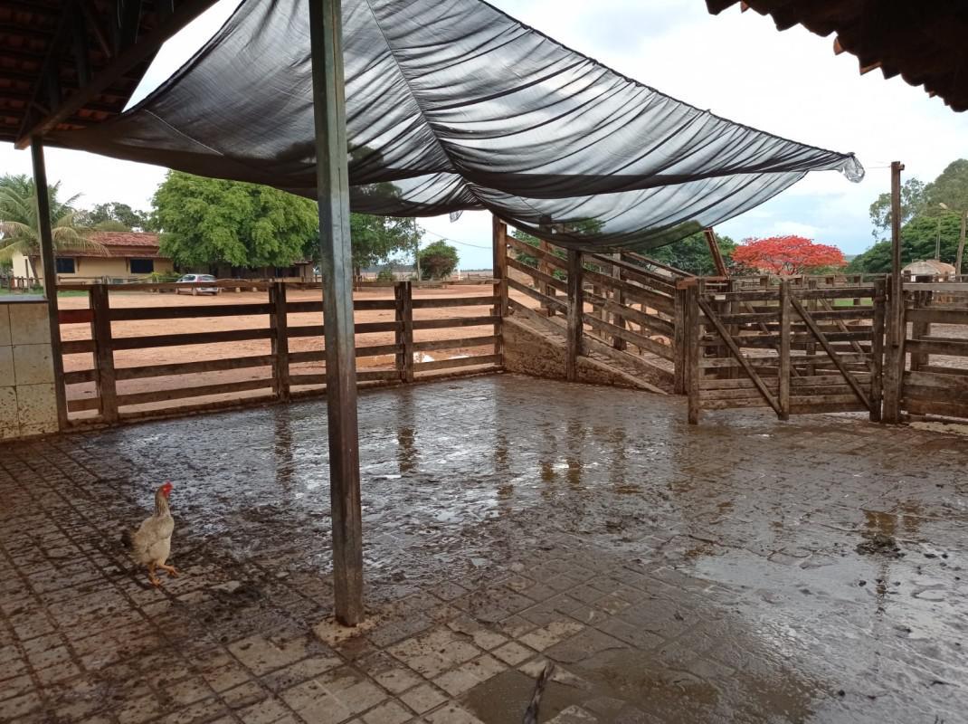 Fazenda, Zona Rural, 0 Quarto, 0 Vaga