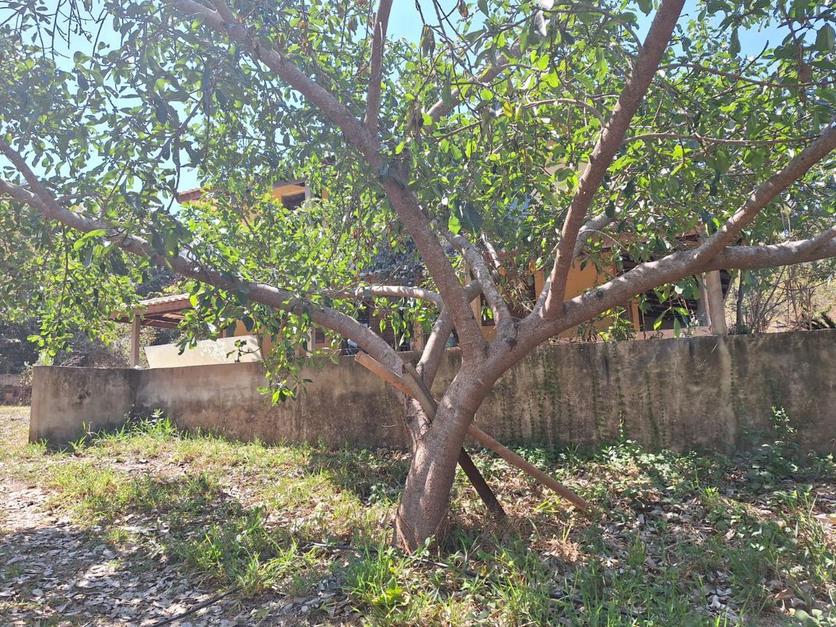 Fazenda, Centro, 4 Quartos, 10 Vagas, 2 Suítes