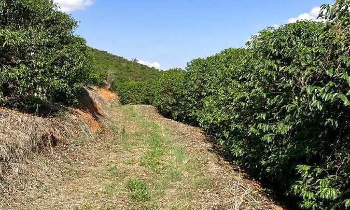 Fazenda, Zona Rural, 0 Quarto, 0 Vaga