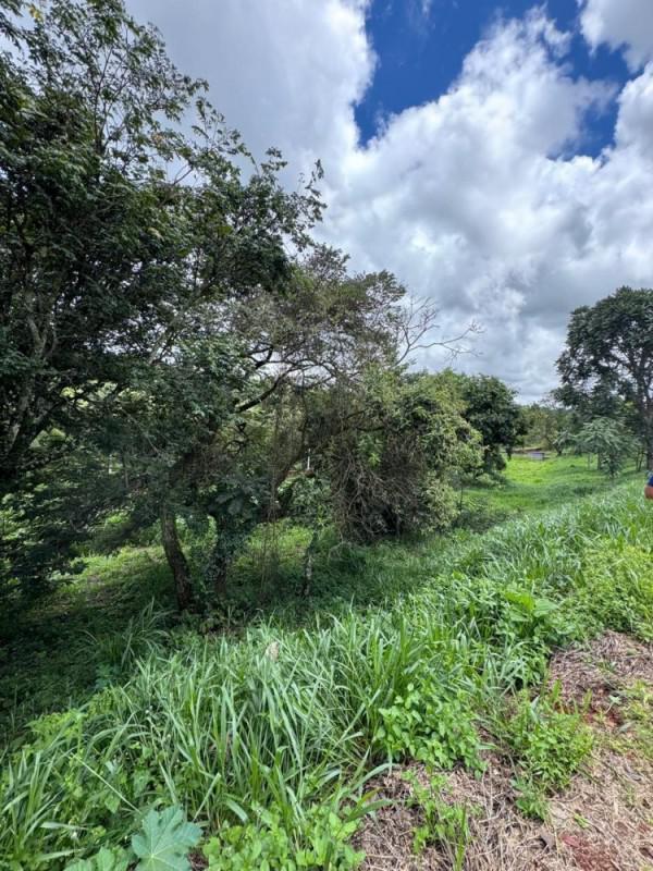 Lote, Bela Vista, 0 Quarto, 0 Vaga