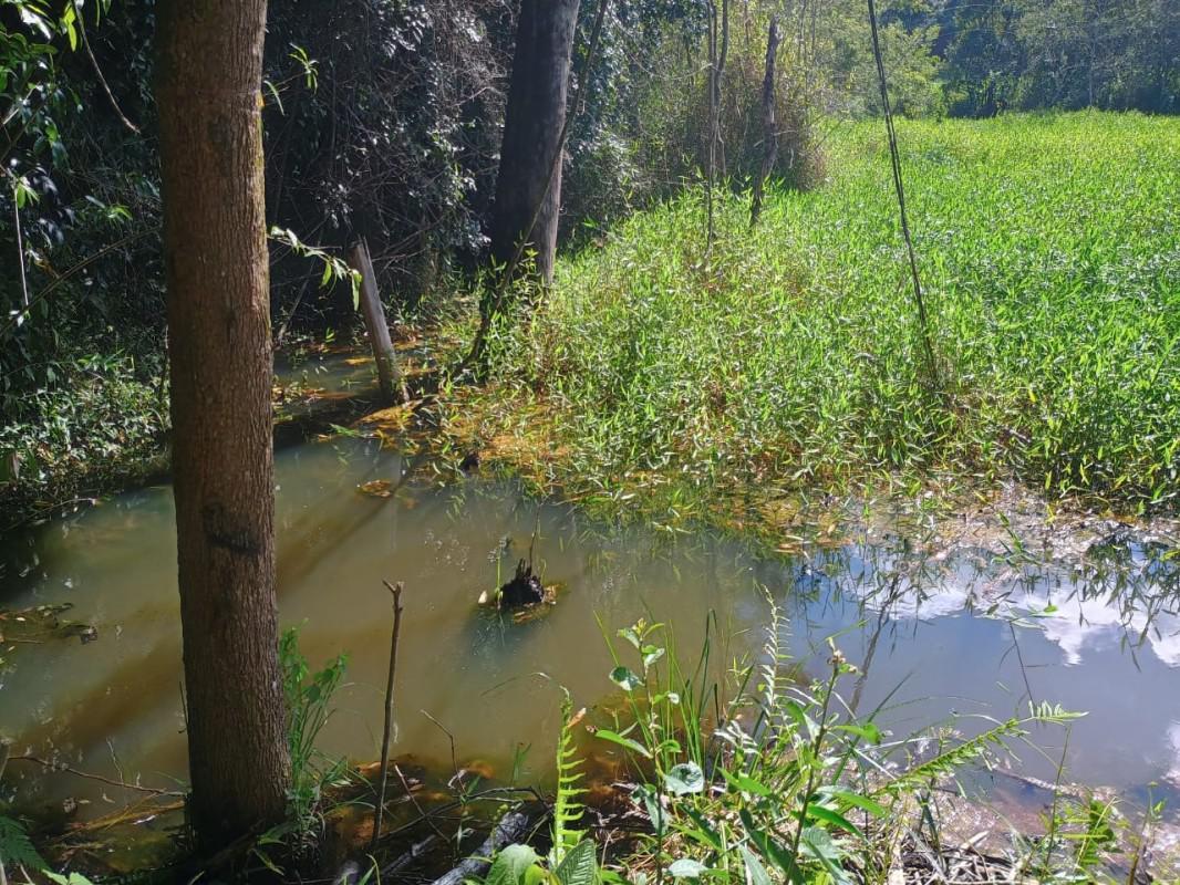 Fazenda, Centro, 0 Quarto, 0 Vaga