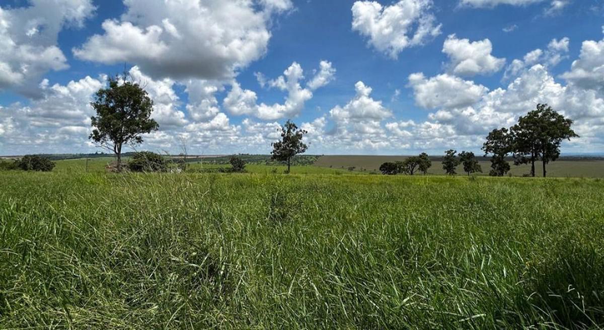 Fazenda, Centro, 0 Quarto, 0 Vaga