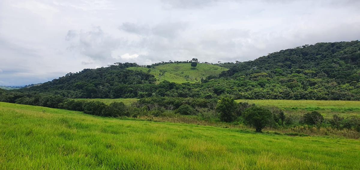 Fazenda, Centro, 4 Quartos, 2 Vagas, 1 Suíte