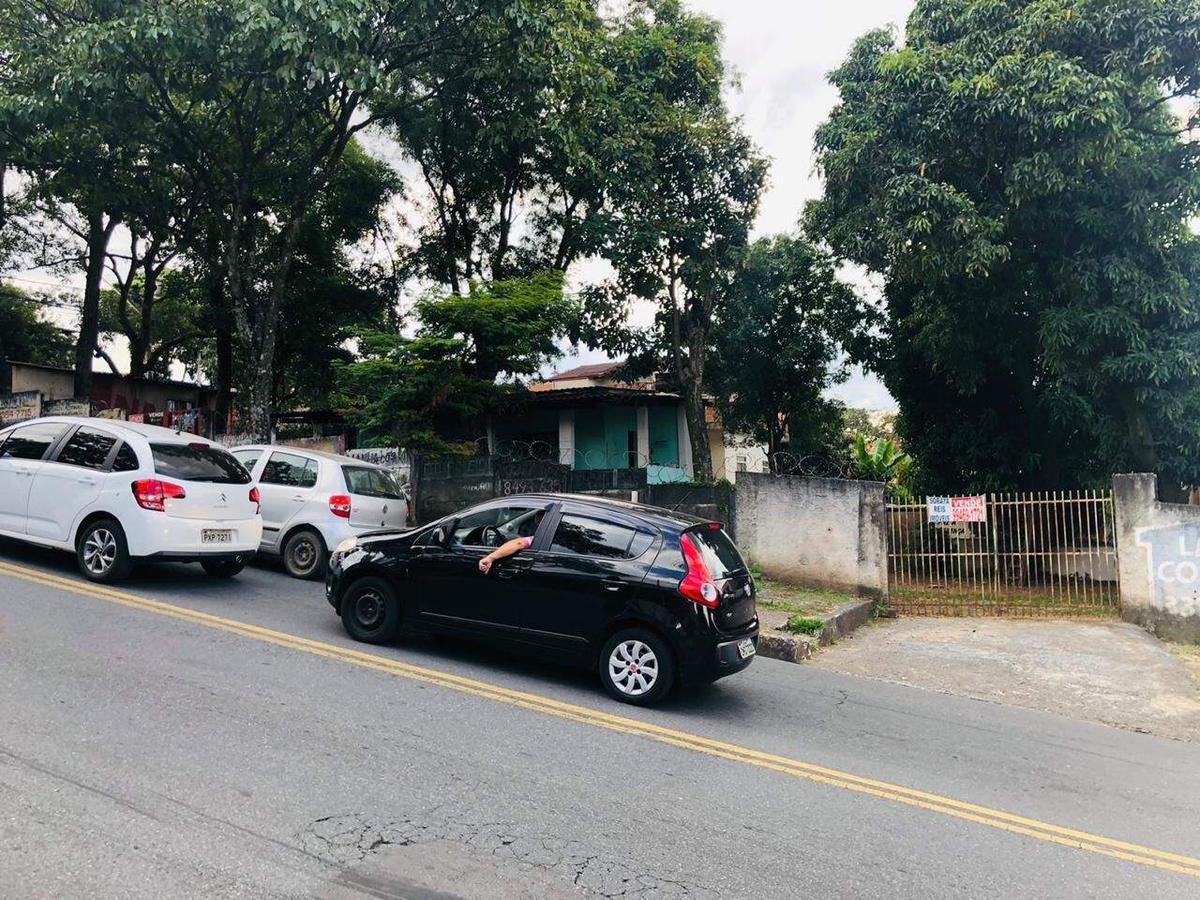 Lote, Palmeiras