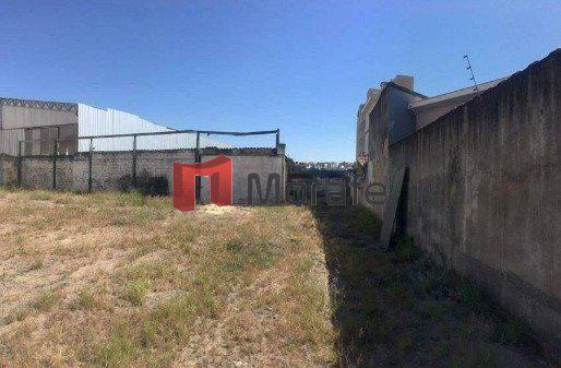Lote, Prado, 0 Quarto, 0 Vaga