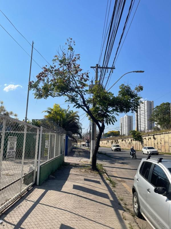 Galpão, Planalto, 0 Quarto, 0 Vaga
