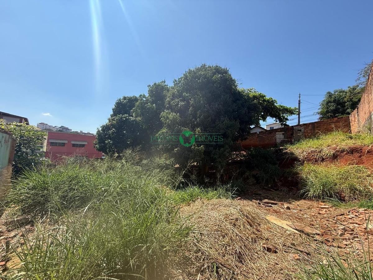 Lote, Universitário, 0 Quarto, 0 Vaga
