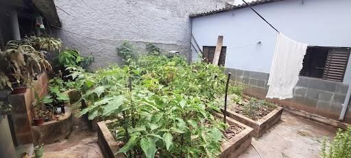Casa, Bom Jesus, 4 Quartos, 2 Vagas, 1 Suíte