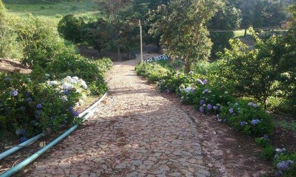 Lote, Zona Rural