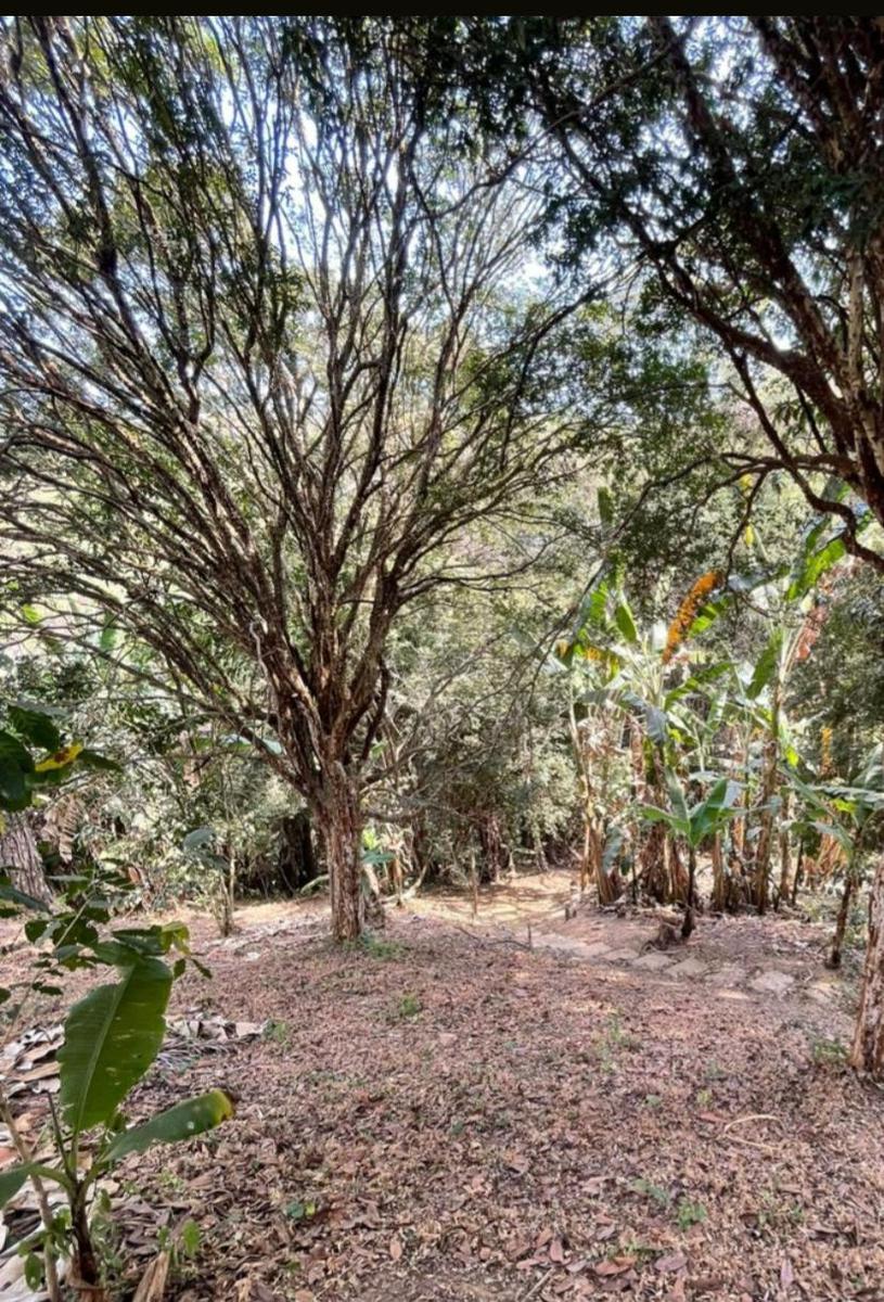 Fazenda, Centro, 4 Quartos, 10 Vagas