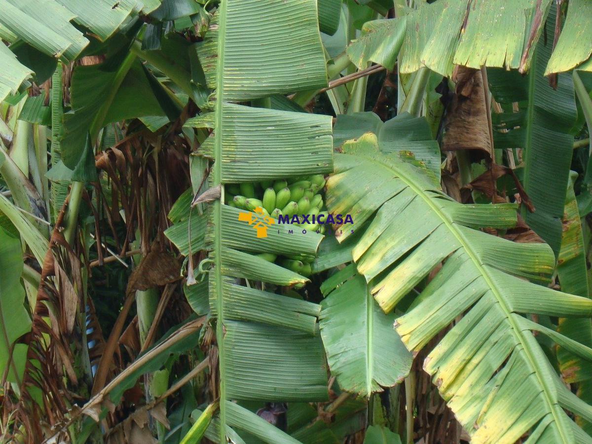 Casa, Tavares, 4 Quartos, 15 Vagas, 2 Suítes