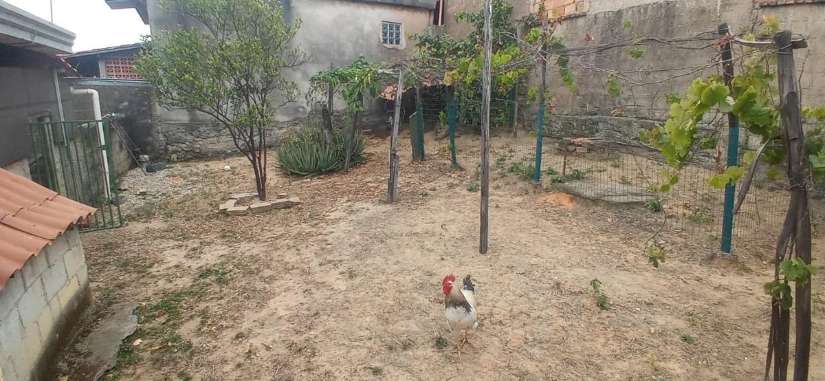 Casa, Bandeirantes, 4 Quartos, 1 Vaga