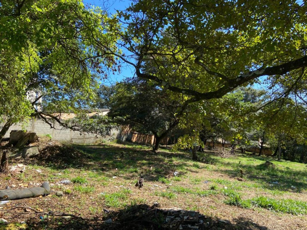 Lote, Jardim Anchieta, 0 Quarto, 0 Vaga