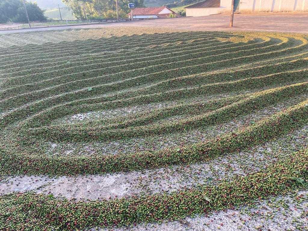 Fazenda, Zona Rural, 4 Quartos, 0 Vaga, 1 Suíte