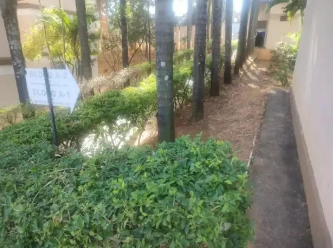 Apartamento, Santa Amélia, 3 Quartos, 1 Vaga