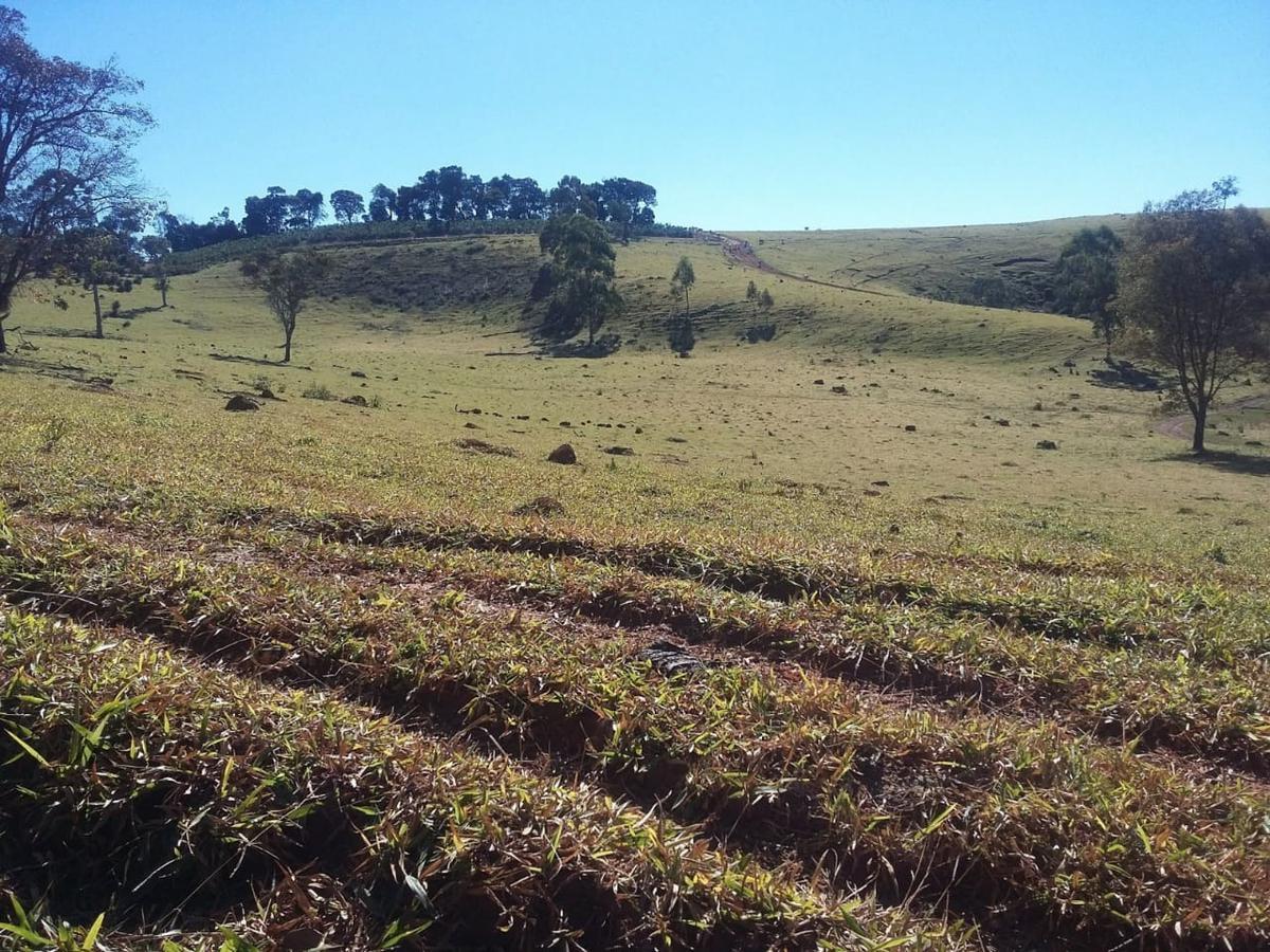 Fazenda, Centro, 3 Quartos, 1 Vaga, 1 Suíte