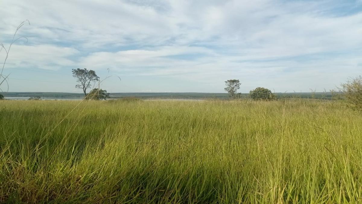 Fazenda, Zona Rural, 6 Quartos, 0 Vaga, 1 Suíte