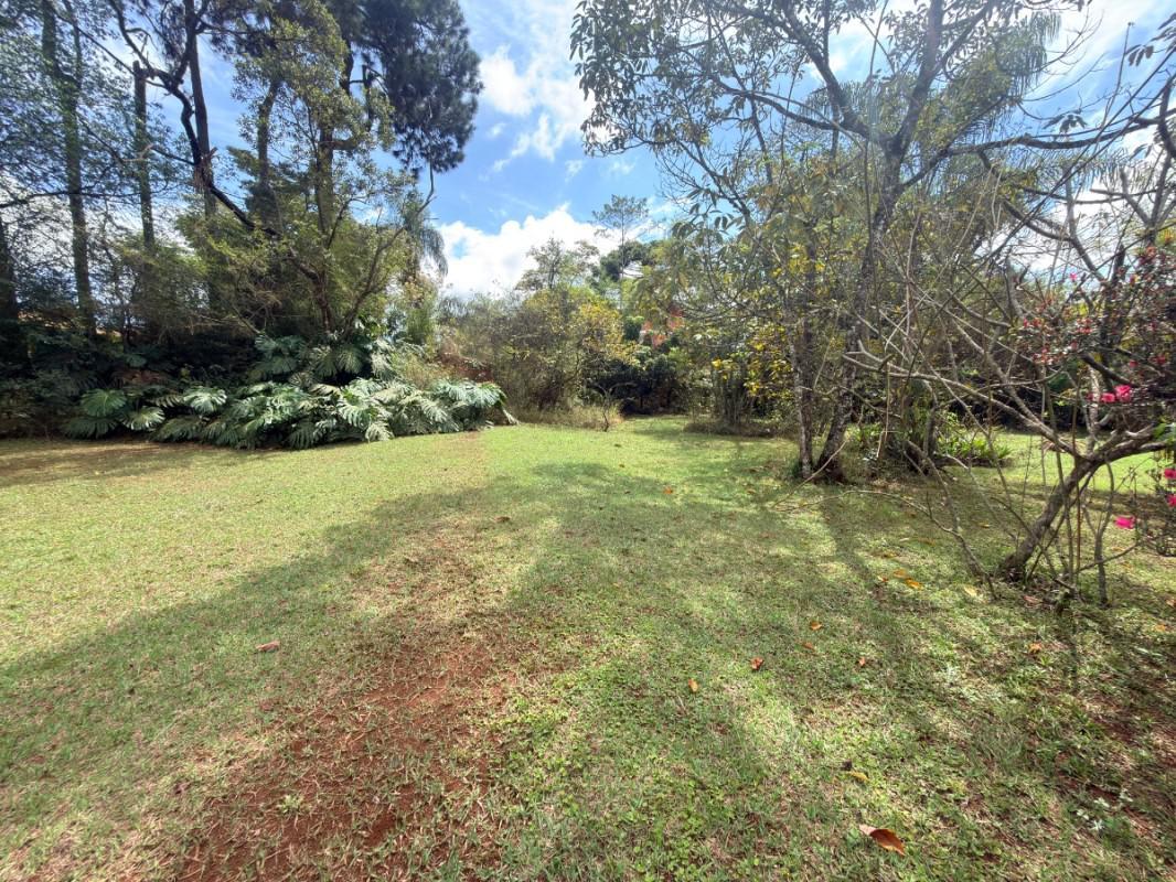 Lote, Lagoa do Miguelão, 0 Quarto, 0 Vaga