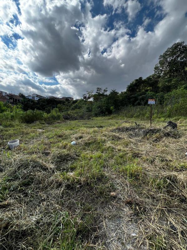 Lote, Palmeiras, 0 Quarto, 0 Vaga