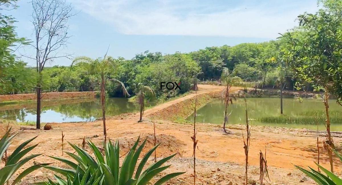 Lote, Centro, 0 Quarto, 0 Vaga
