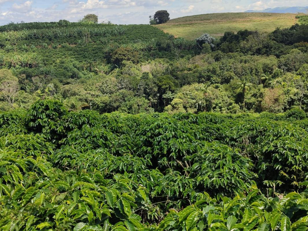 Fazenda, Zona Rural, 0 Quarto, 0 Vaga