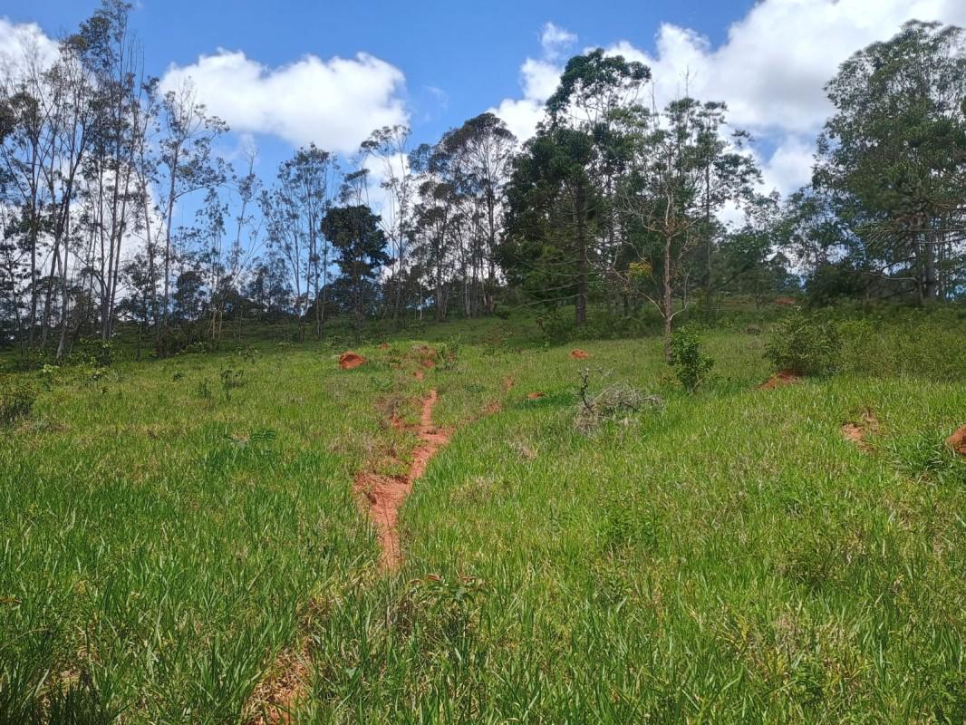 Fazenda, Zona Rural, 0 Quarto, 0 Vaga