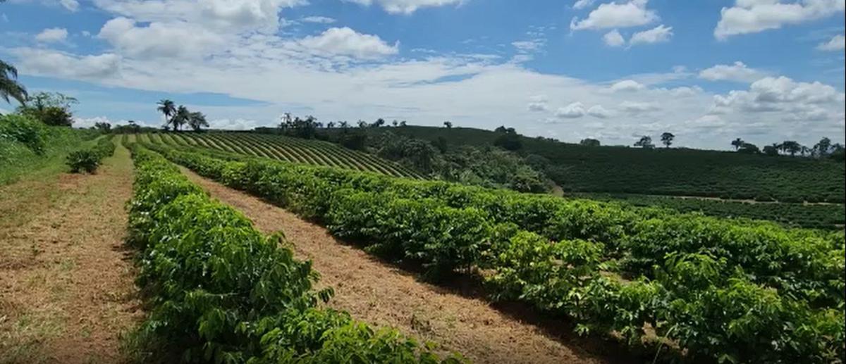 Fazenda, Zona Rural, 3 Quartos, 3 Vagas