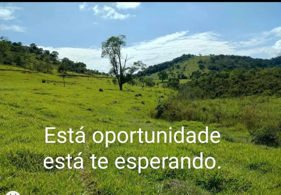 Lote, Centro, 0 Quarto, 0 Vaga