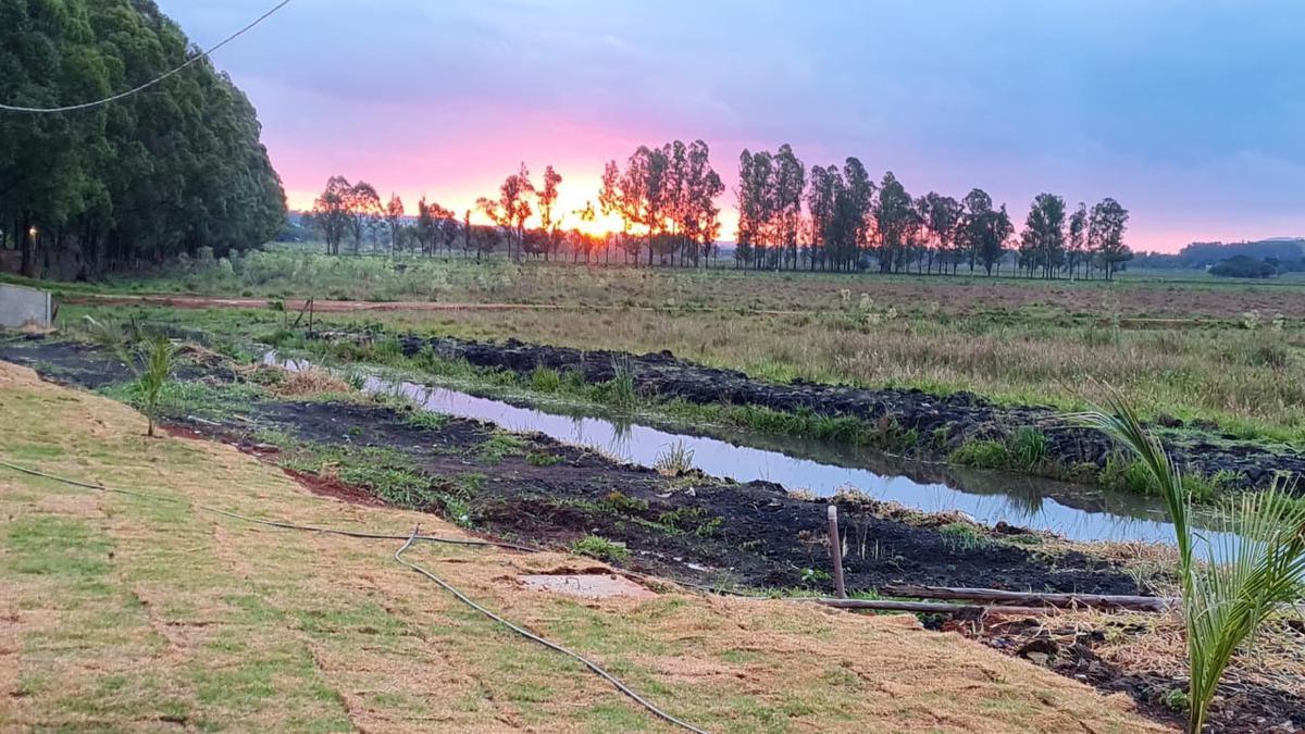Fazenda, Centro, 0 Quarto, 0 Vaga