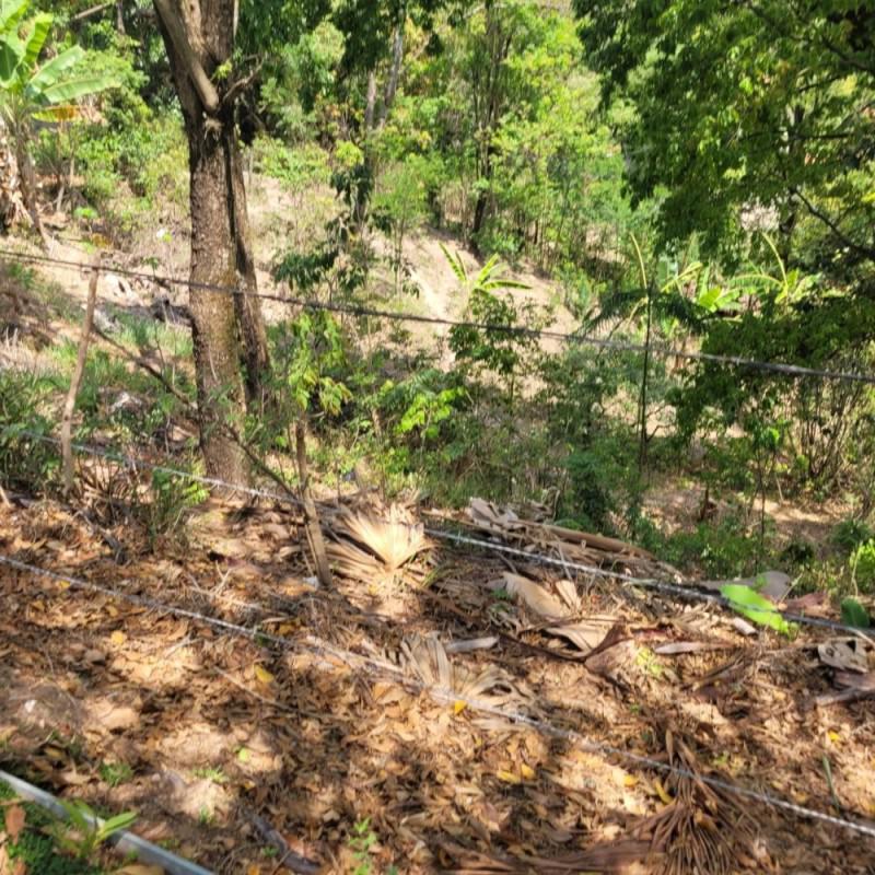 Lote, Bom Repouso, 0 Quarto, 0 Vaga