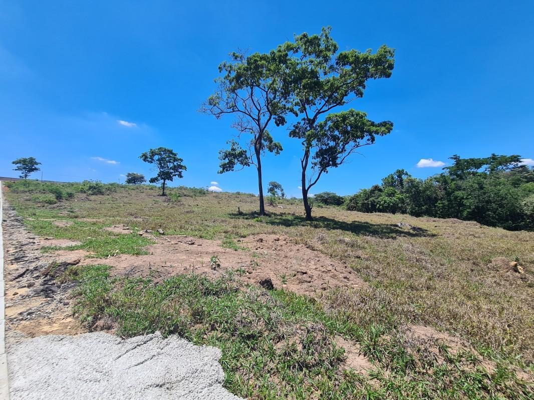 Lote, Novo Retiro, 0 Quarto, 0 Vaga