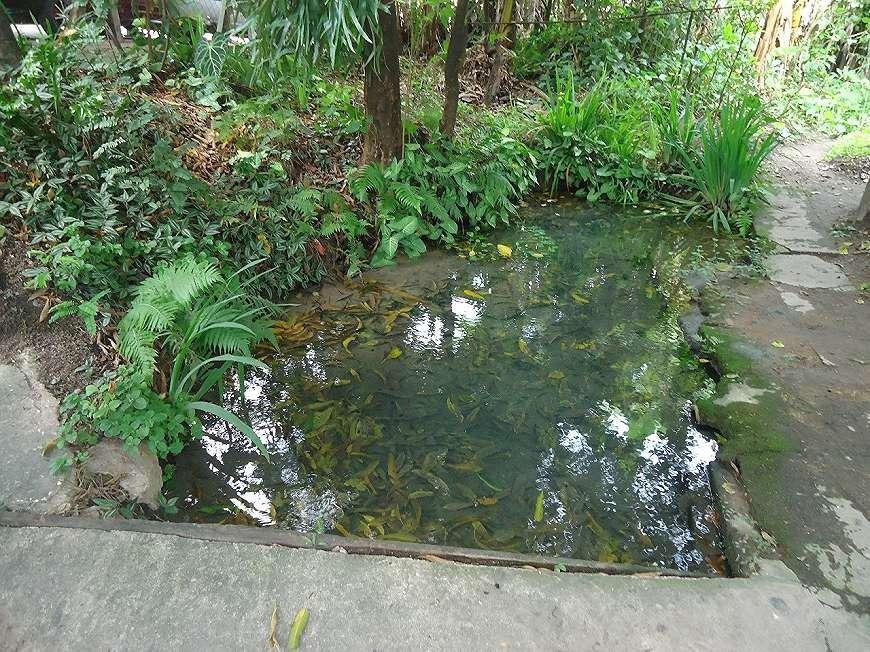 Casa, Sagrada Família, 3 Quartos, 6 Vagas