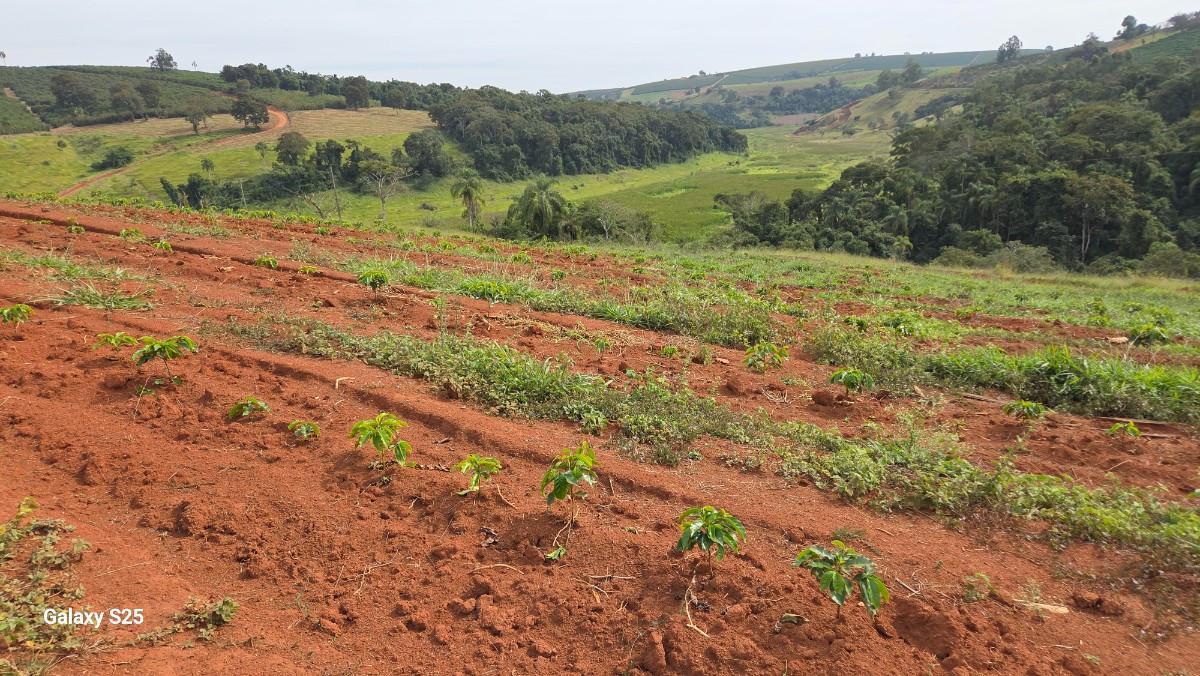 Fazenda, Zona Rural, 0 Quarto, 0 Vaga