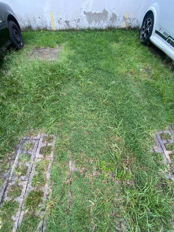 Apartamento, Pedra Azul, 2 Quartos, 1 Vaga