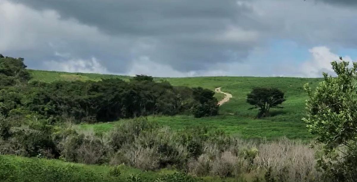 Fazenda, Centro, 1 Quarto, 1 Vaga